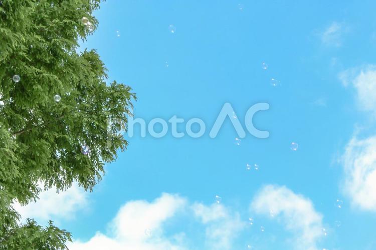 Background of blue sky and shabon ball ①, sky, empty background, empty frame, JPG