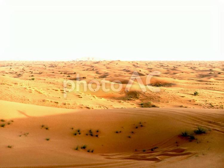 Desert landscape, desert, africa, natural, JPG
