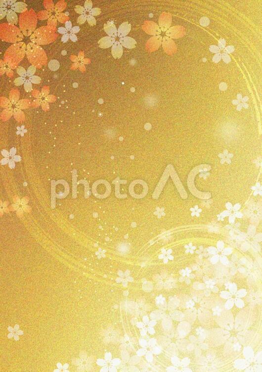 Photo, cherry blossoms, gold foil, new year's card, JPG