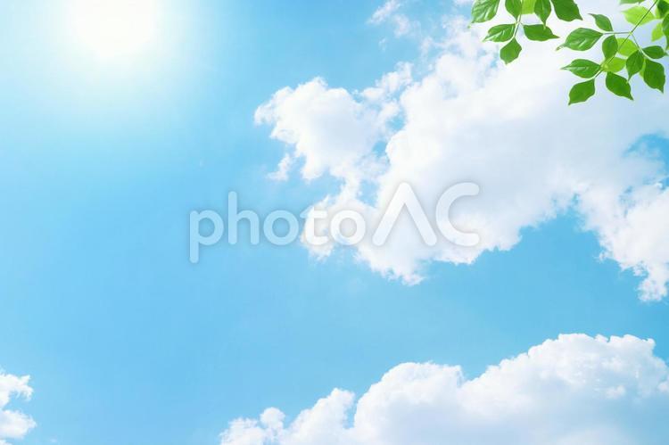 Empty plant material 22, sky, blue sky, sun, JPG