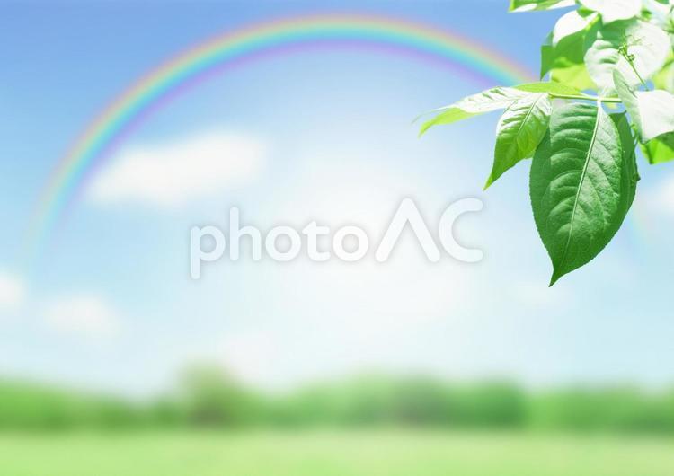 Image background of fresh green and rainbow, rainbow, sky, fresh green, JPG
