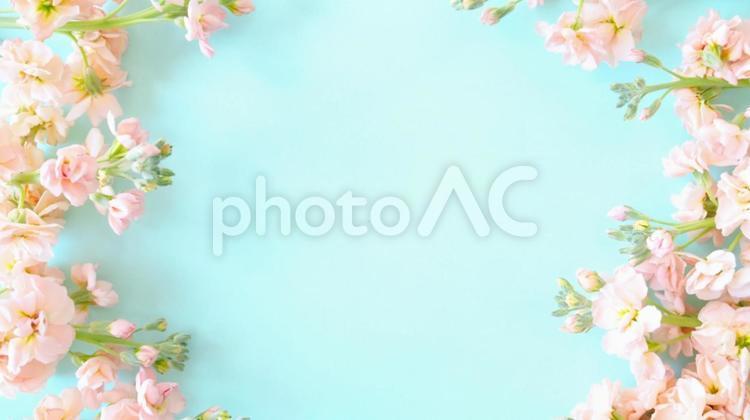 Pastel color flower frame (16: 9), flower frame, botanical frame, decorative frame, JPG