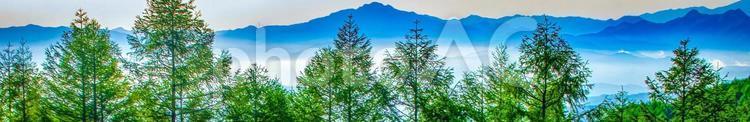 Summer mountain and forest background, summer, mountain, forest, JPG
