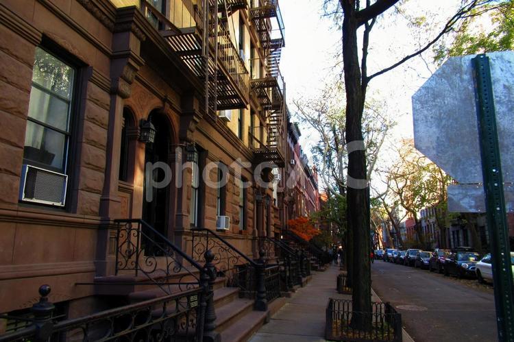 New York residential alley, new york, alley, economy, JPG
