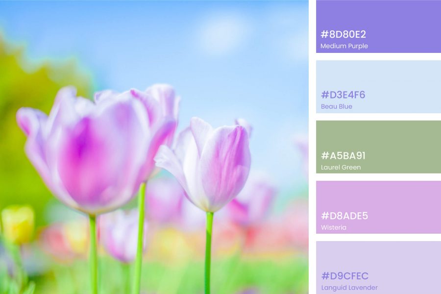 Spring color palettes photoAC tulip