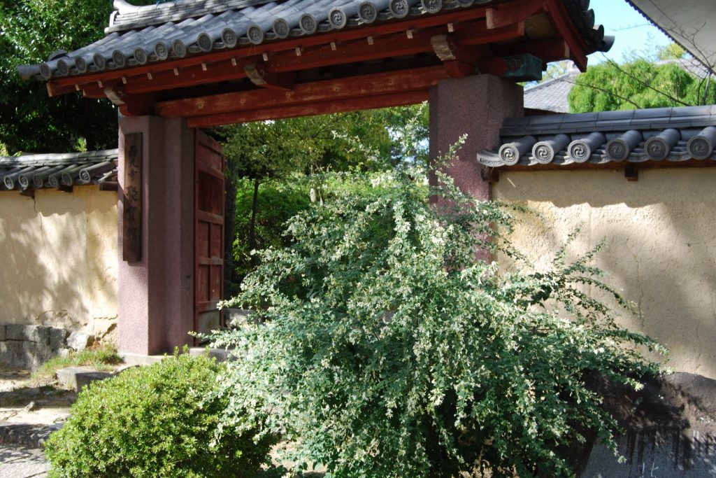 Rejection 1 - poor framing