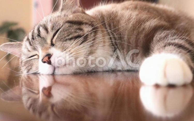  10+ Royalty free Sleep pictures and images for download